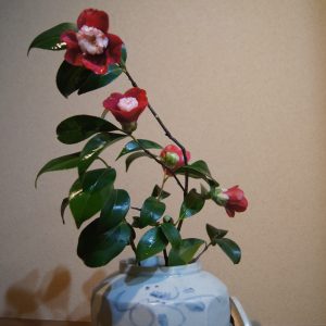 SONY DSC